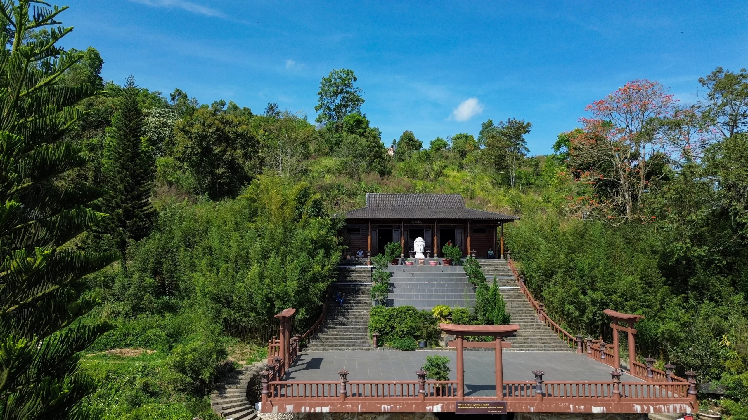 DJI_0449